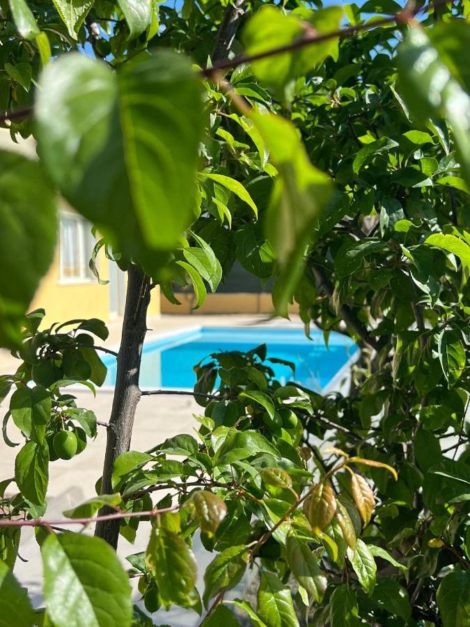Casa Vacanze Mare Fuori كابوتيرا المظهر الخارجي الصورة
